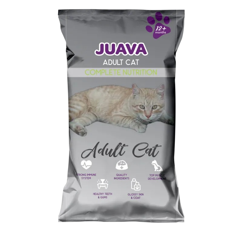 Pharmaceutical Asset